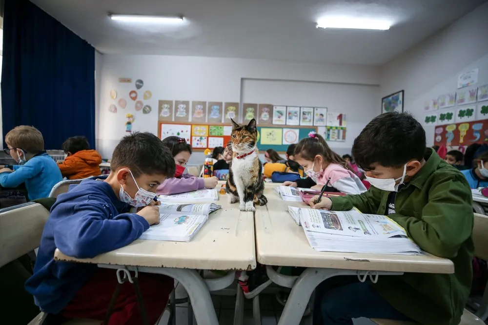 A Look at Life in Turkey