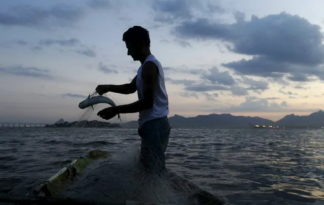 A fisherman holds a fish caught in his net in the waters of Guanabara Bay in Rio de Janeiro Brazil, January 8, 2016. (Photo by Ricardo Moraes/Reuters)