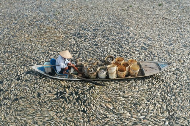 This aerial photo shows a fisherman collecting dead fish caused by renovation works and the ongoing hot weather conditions from a reservoir in southern Vietnam's Dong Nai province on April 30, 2024. Hundreds of thousands of fish have died in a reservoir in southern Vietnam's Dong Nai province, with locals and media reports suggesting the brutal heatwave and lake's management are to blame. (Photo by AFP Photo/Stringer)