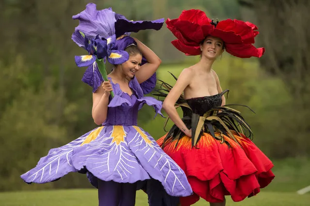 Models Lauren Green (L) and Abi Moore wear floral dress creations, representing an iris and a poppy respectively, by New Zealand artist Jenny Gillies as they pose on the eve of the opening day of the Harrogate Spring Flower Show at the Great Yorkshire Showground in Harrogate, northern England on April 19, 2017. The flower show, which features over 1,000 exhibitors and hosts the UK's biggest exhibition by flower arrangers and florists, opens on April 20 and runs until April 23, 2017. (Photo by Oli Scarff/AFP Photo)