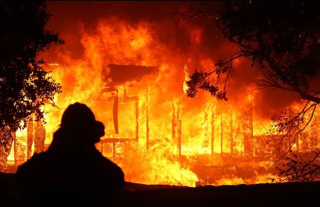 A home burns as the Kincade Fire moves through the area on October 24, 2019 in Geyserville, California. Fueled by high winds, the Kincade Fire has burned over 7,000 acres in a matter of hours and has prompted evacuations in the Geyserville area. (Photo by Justin Sullivan/Getty Images)