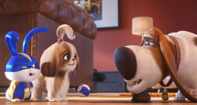 This image released by Universal Pictures shows, from left, Snowball, voiced by Kevin Hart, Daisy, voiced by Tiffany Haddish and Pops, voiced by Dana Carvey in a scene from “The Secret Life of Pets 2”. (Photo by Illumination Entertainment/Universal Pictures via AP Photo)