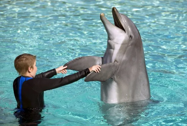 Rady Children's Hospital patient 10-year-old Jayden Skorpanich meets a bottlenose dolphin after Sea World invited patients to swim and interact with the dolphins at their park in San Diego, California August 27, 2015. Sea World has hosted Dolphin Interaction Program for seven years. It was started by dolphin trainer Joy Soto who battled and overcame non-Hodgkin’s lymphoma. (Photo by Mike Blake/Reuters)