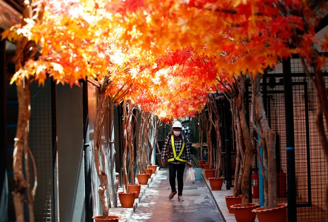 A construction laborer carries food while walking past a deserted shopping street after all shopping malls were closed to prevent the spread of the COVID-19 disease caused by the SARS-CoV-2 coronavirus, at a shopping district in Bangkok, Thailand, 06 April 2020. According to media reports, Thailand's economy is forecast to shrink by 5.3 percent to 6.8 percent, due to the ongoing spread of the COVID-19 disease which is caused by the SARS-CoV-2 coronavirus. The contraction could be the county's worst since the 1997 Asian financial crisis. (Photo by Rungroj Yongrit/EPA/EFE)