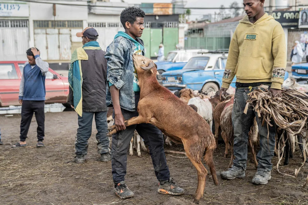 A Look at Life in Africa