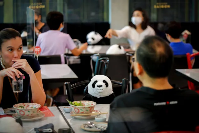 A stuffed panda is placed on a chair as a means to enforce social distancing at a restaurant in Bangkok, Thailand, 19 May 2020. Thailand has relaxed stringent lockdown measures allowing certain businesses, including dine-in services, to resume operations. As a result, businesses are coming up with innovative ideas to not only enforce social distancing to adhere to the new normal, but also keeping it attractive to customers. Thailand eased restrictions after the number of coronavirus infections dropped. (Photo by Diego Azubel/EPA/EFE)