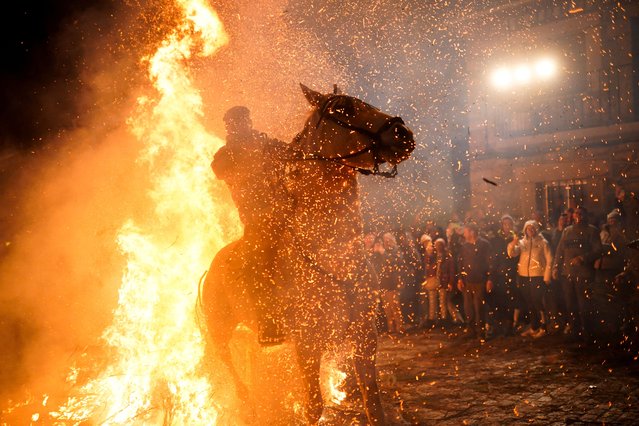 A man rides a horse through flames during the annual “Luminarias” celebration on the eve of Saint Anthony's day, Spain's patron saint of animals, in the village of San Bartolome de Pinares, Spain, on January 16, 2025. (Photo by Ana Beltran/Reuters)