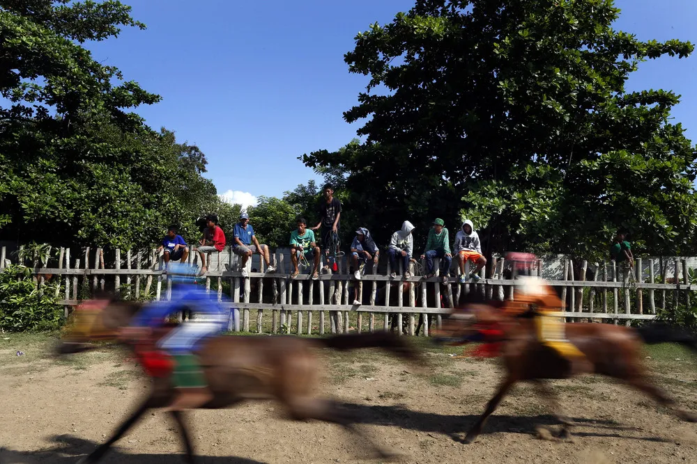 Child Jockeys of Bima