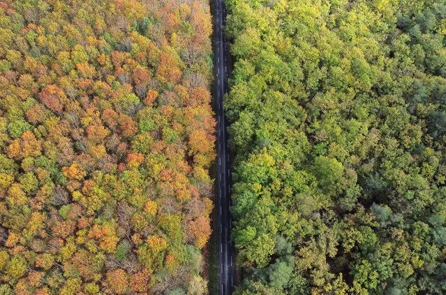 An aerial view of the golden and rust-coloured leaves in the Gavre Forest in Le Gavre near Nantes, France on October 26, 2022. (Photo by Stephane Mahe/Reuters)
