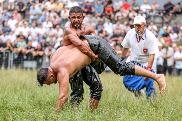 Wrestlers compete in the 63rd Historical Cali Oil Wrestling Tournament, held on June 29, 2025, in Bursa, Turkiye. The event, which featured over 800 wrestlers and served as the final rehearsal for the 664th Historical Kirkpinar Oil Wrestling Festival, is on track to become a stage of the Oil Wrestling League, now in its third season. (Photo by Mustafa Yilmaz/Anadolu via Getty Images)