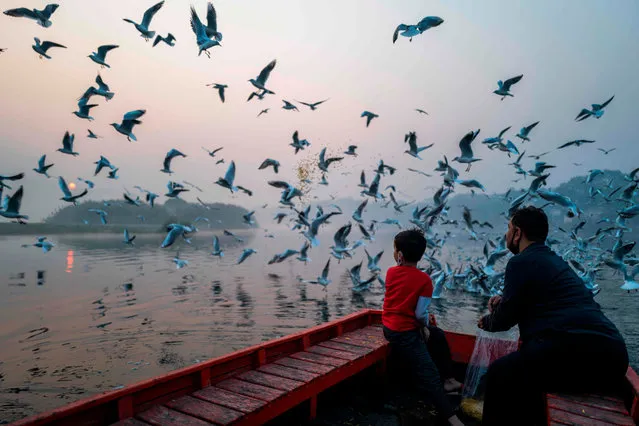 A Hindu devotee and his son feed seagulls near the banks of the Yamuna River during a smoggy morning at sunrise in New Delhi on October 29, 2020. (Photo by Jewel Samad/AFP Photo)