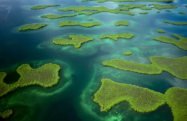 “Lying along the northwest shore of Panama within the Caribbean Sea, a small group of islands known as the Bocas del Toro (“Mouths of the Bull”) provide a rich rain forest environment supporting a vast variety of wildlife. With their surrounding coral reefs and shallow waters, these scores of islands, keys, and islets are part of a complex of marine parks and bird sanctuaries”. (Photo by Art Wolfe/Art Wolfe Stock)