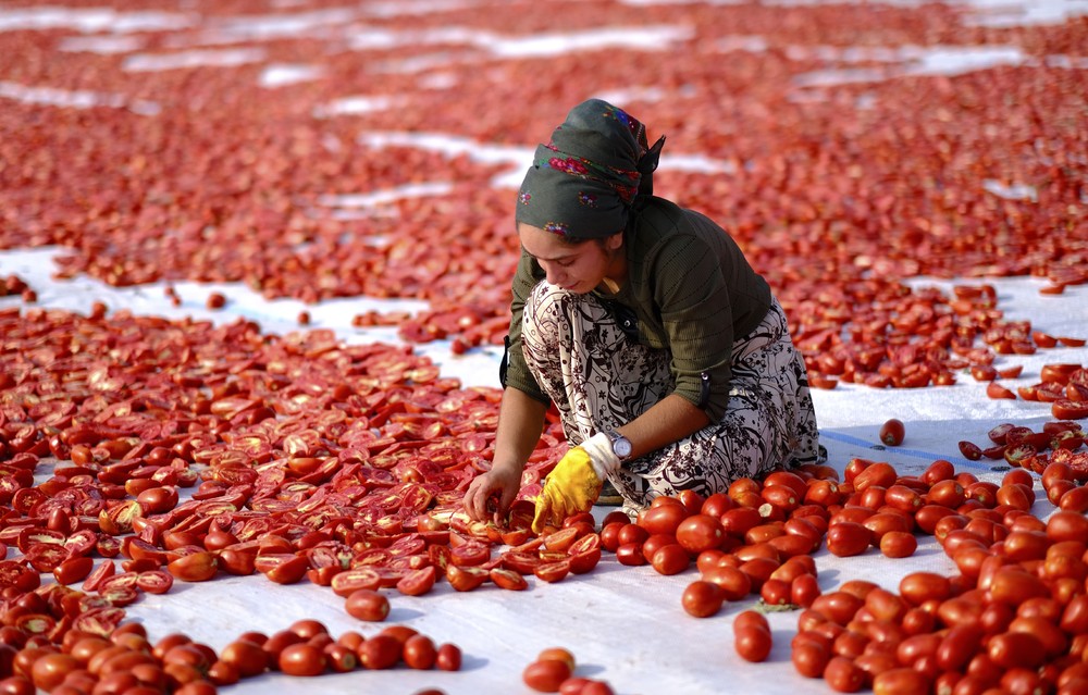 A Look at Life in Turkey