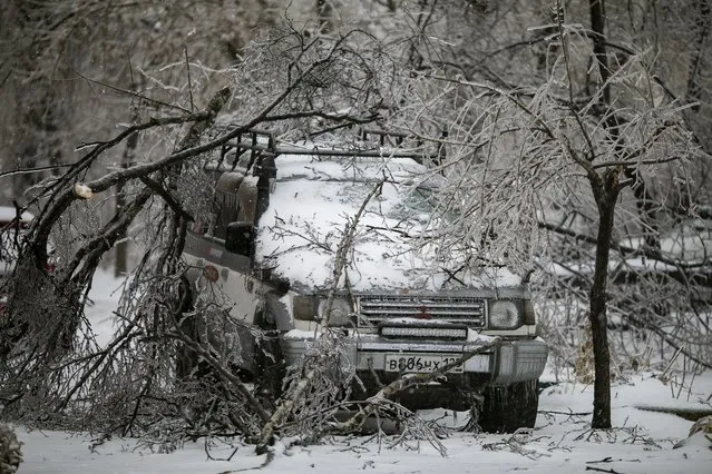 Fallen tree branches on a vehicle after an ice storm, in Vladivostok, Russia, Friday, November 20, 2020. Thousands of people in Russia's Far East region of Primorye remained without heating or electricity on Wednesday, Nov. 25, 2020 as local authorities and emergency services wrestled with the consequences of an unprecedented ice storm that hit the region last week. (Photo by Aleksander Khitrov/AP Photo)