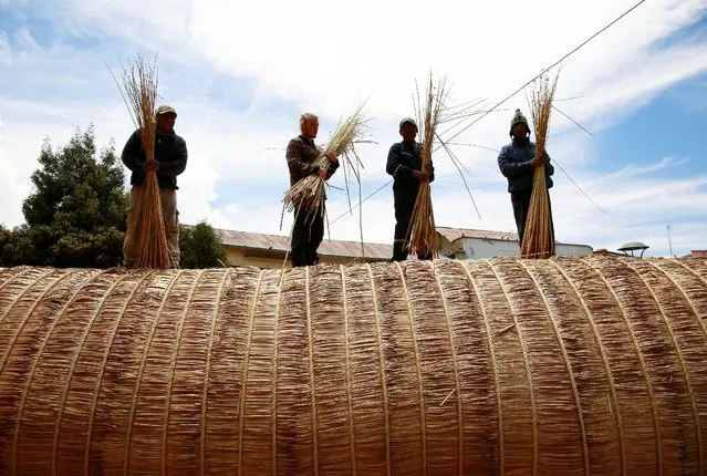 Builders hold totora reeds on the “Viracocha III”, a boat made only from the reed, as it is being prepared to cross the Pacific from Chile to Australia on an expected six-month journey, in La Paz, Bolivia, October 19, 2016. (Photo by David Mercado/Reuters)