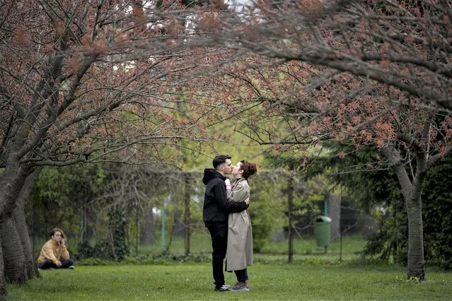A couple kiss at the Japanese Garden in the King Michael I park in Bucharest, Romania, Monday, April 10, 2023. (Photo by Vadim Ghirda/AP Photo)
