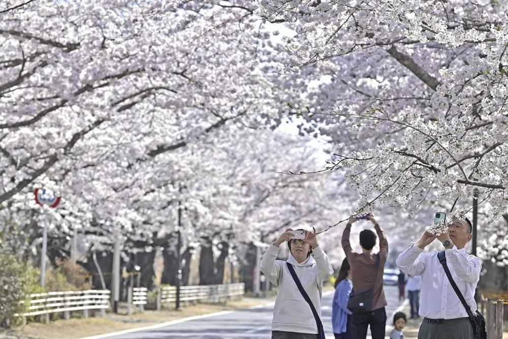 A Look at Life in Japan, Part 1/2