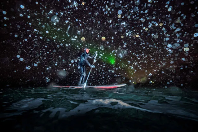 Myrtille Heissat from France rides a SUP (Stand Upp Paddle) under Northern Lights, on March 8, 2018 in Unstad northern Norway, Lofoten islands, within the Arctic Circle. (Photo by Olivier Morin/AFP Photo)