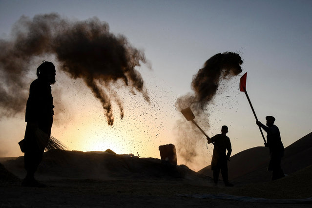 Afghan farmers winnow soybeans at sunset in the Bodana Qala area of the Sholgara district in Balkh province on October 22, 2025. (Photo by Atif Aryan/AFP Photo)