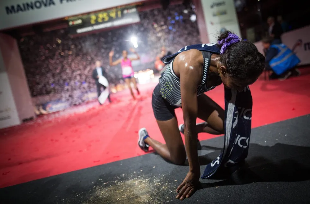 The Day in Photos – November 1, 2016