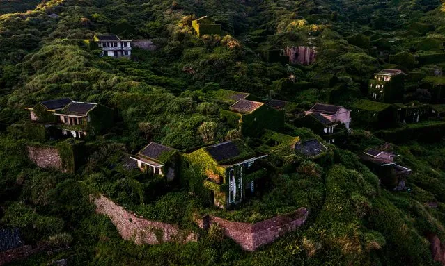 This picture taken on June 1, 2018 shows abandoned village houses covered with overgrown vegetation in Houtouwan on Shengshan island, China' s eastern Zhejiang province. (Photo by Johannes Eisele/AFP Photo)