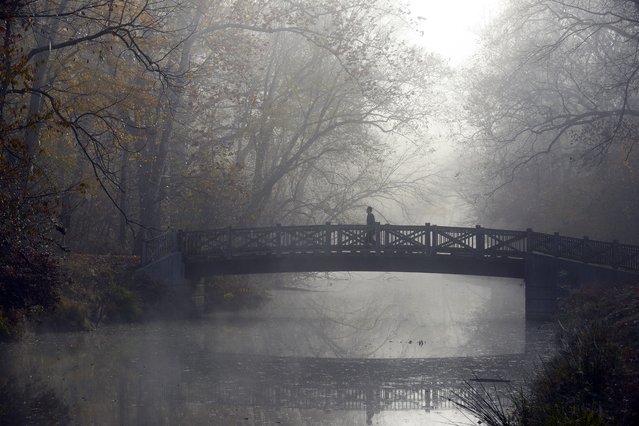 Early morning fog covers the C&O Canal near the Great Falls in Potomac, MD, November 3, 2015. (Photo by Astrid Riecken/The Washington Post)
