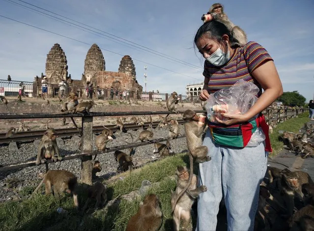 A Thai woman reacts as she feeds bottles of yogurt to monkeys during the annual Monkey Banquet festival at the Phra Prang Sam Yod ancient temple in Lopburi province, Thailand, 29 November 2020. The annual gala feast event is hosted on the last Sunday of November to honor the long-tailed macaques for attracting tourists to the town and also promote tourism. Lopburi is well-known as the city of monkeys as the ancient city is overrun by monkeys. (Photo by Rungroj Yongrit/EPA/EFE)
