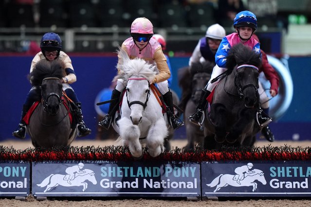 Runners and riders during the Shetland Pony Grand National on day one of the London International Horse Show at ExCel London on Thursday December 18, 2025. (Photo by Ben Whitley/PA Wire)
