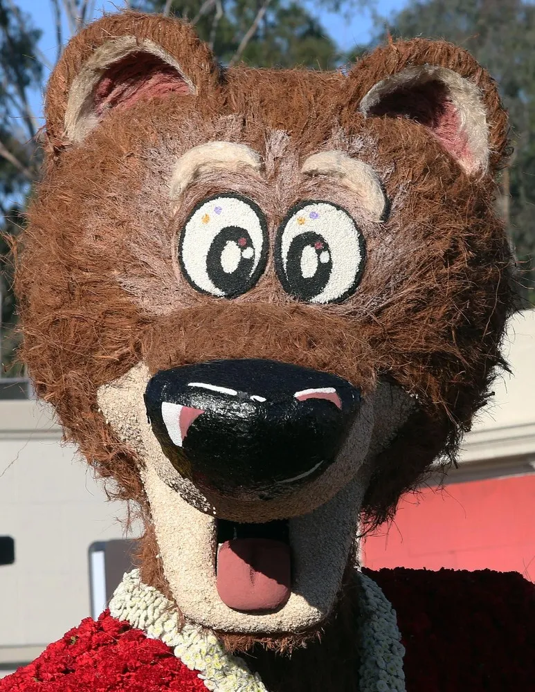 Rose Parade in California