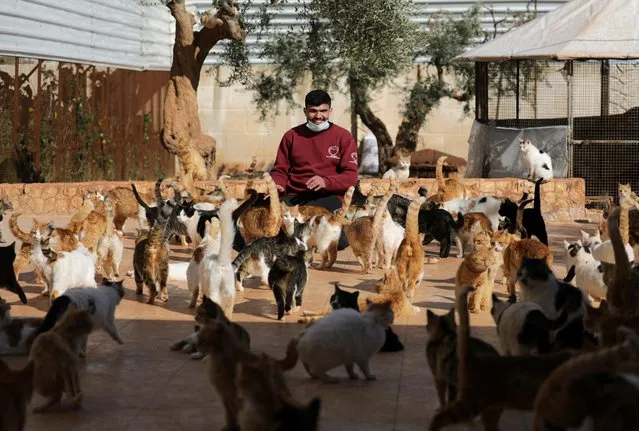 A worker plays with cats at Ernesto's sanctuary for cats in Idlib, Syria March 28, 2021. The shelter cares for more than 1,000 cats left behind by families fleeing the war. (Photo by Khalil Ashawi/Reuters)