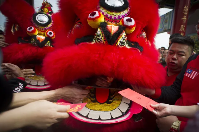 Temple visitors give red packets to the lion dance troupe during the lion dance performance on the first day of Chinese Lunar New Year at a temple in Kuala Lumpur, Malaysia on Thursday, February 19, 2015. (Photo by Joshua Paul/AP Photo)