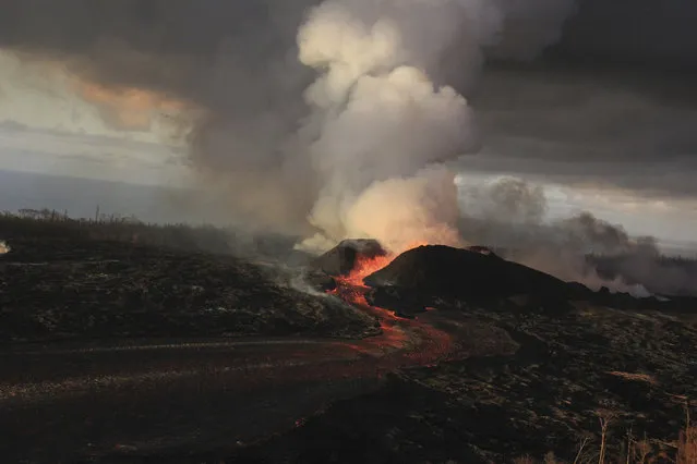 This June 30, 2018 file photo from the U.S. Geological Survey shows fountains from the fissure 8 spatter cone continuing to supply lava to an open channel above the former village of Kapoho on the island of Hawaii. (Photo by U.S. Geological Survey via AP Photo)