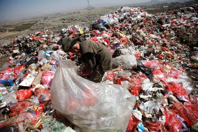 A boy collects recyclable items from a pile of rubbish at a landfill site on the outskirts of Sanaa, Yemen November 16, 2016. (Photo by Mohamed al-Sayaghi/Reuters)