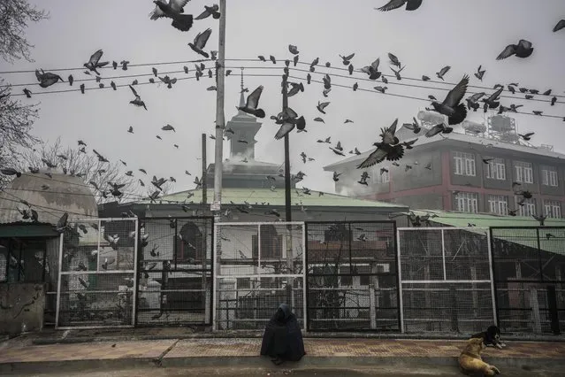 Pigeons fly over a beggar woman sitting by a roadside under a thick fog on a cold morning in Srinagar, Indian controlled Kashmir, Thursday, December 28, 2023. (Photo by Mukhtar Khan/AP Photo)