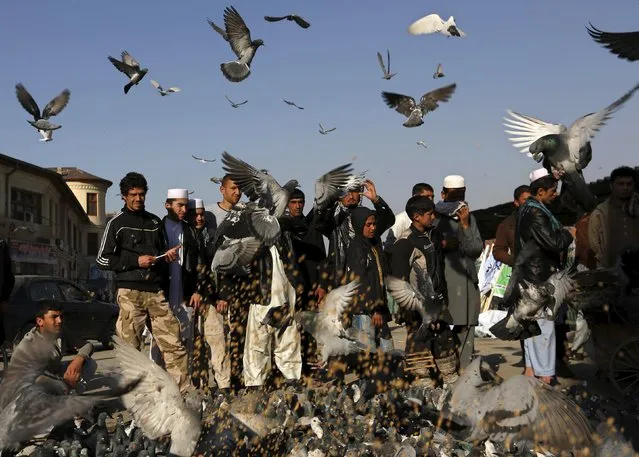 People stand among pigeons flying in front of Shah Doshamshaera mosque in Kabul March 26, 2015. (Photo by Mohammad Ismail/Reuters)