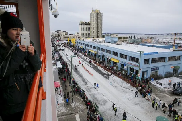 Spectators line 4th avenue at the ceremonial start of the Iditarod Trail Sled Dog Race to begin the near 1,000-mile (1,600-km) journey through Alaska’s frigid wilderness in downtown Anchorage, Alaska March 5, 2016. (Photo by Nathaniel Wilder/Reuters)