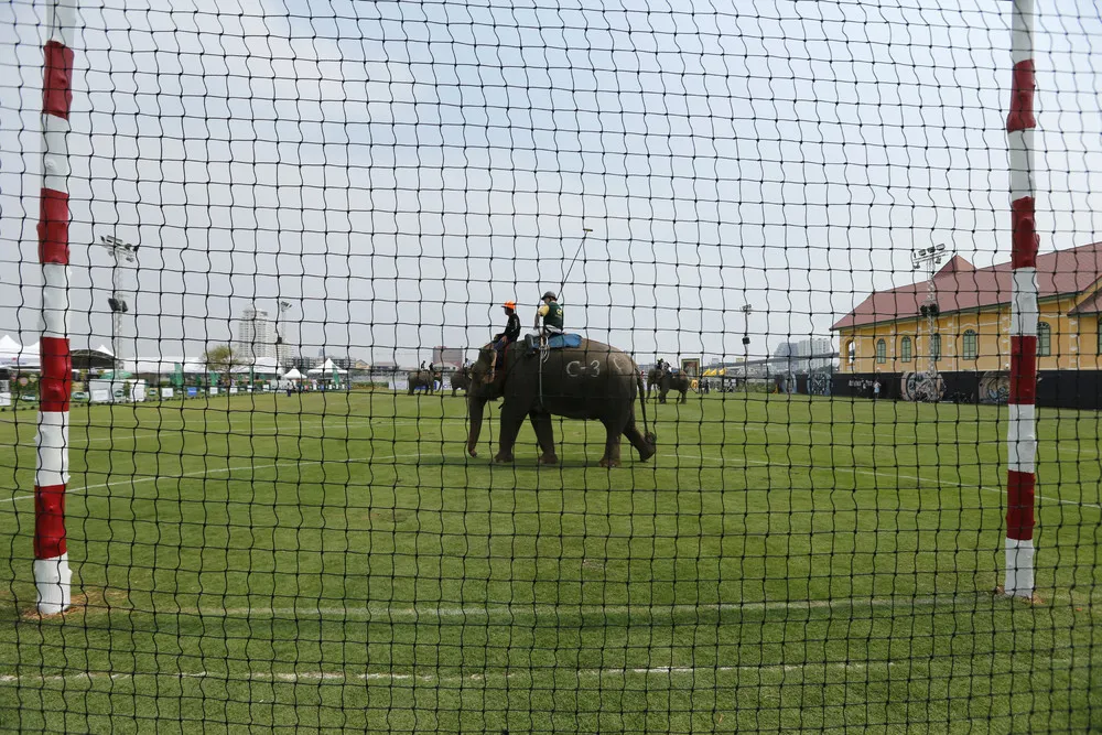 King's Cup Elephant Polo Tournament
