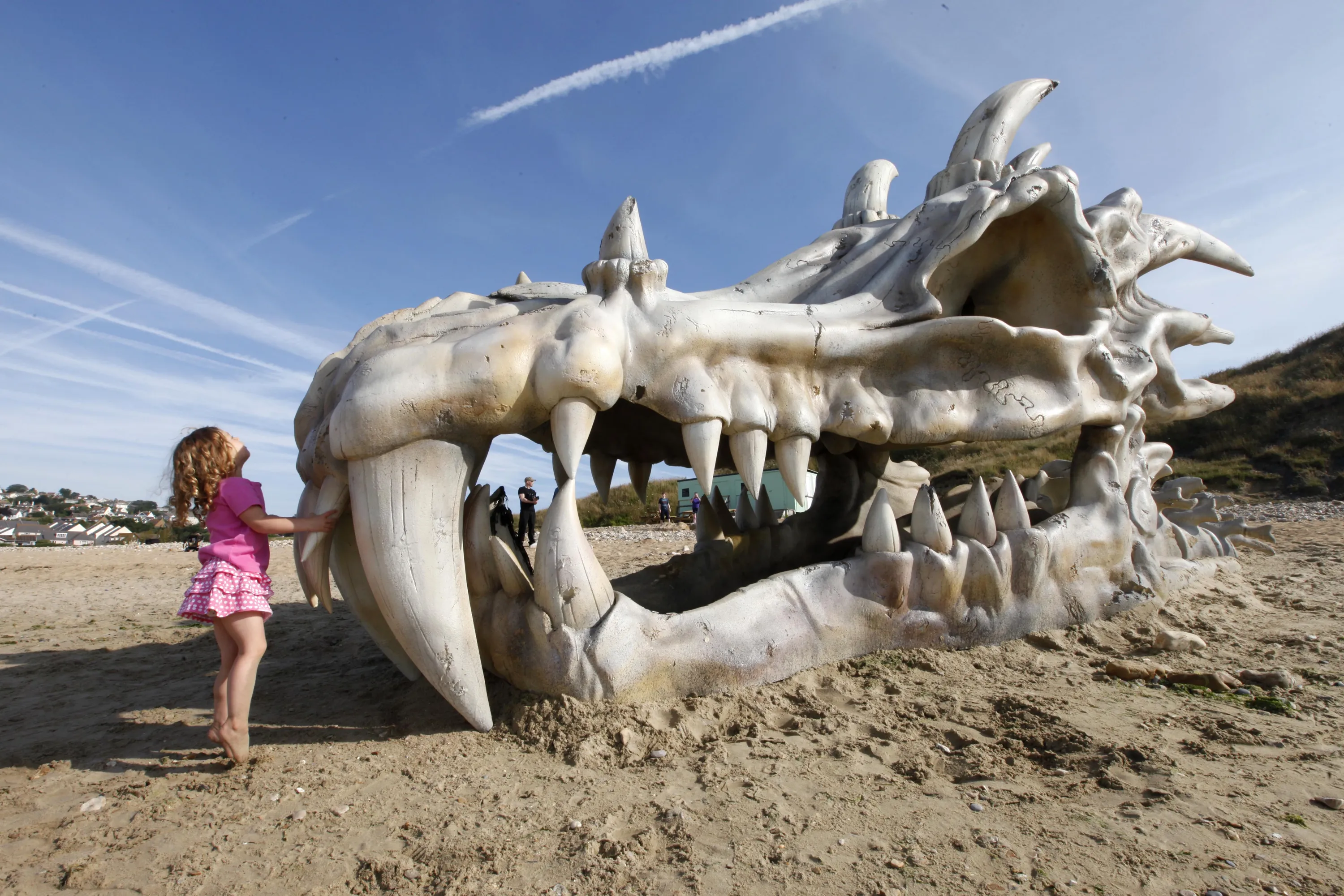Драконов много не бывает. Юрское побережье череп дракона. Гигантский череп дракона. Череп дракона на пляже. Огромные существа.