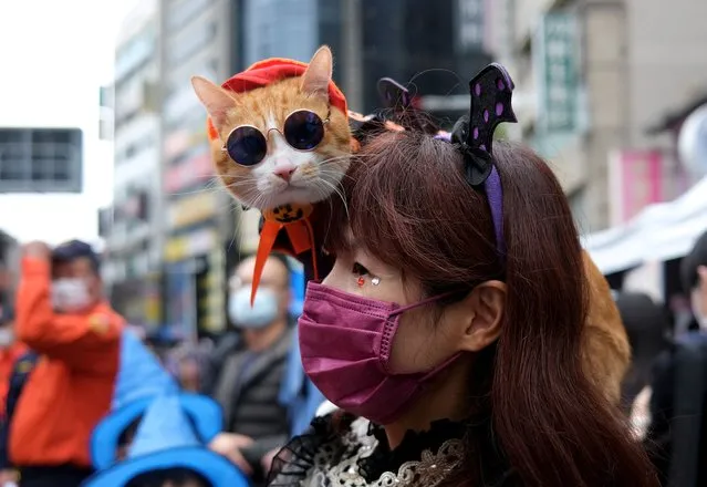 A person with a cat takes part in a Halloween parade in New Taipei, Taiwan, October 30, 2021. (Photo by Fabian Hamacher/Reuters)