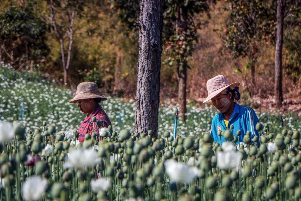 A Look at Life in Myanmar