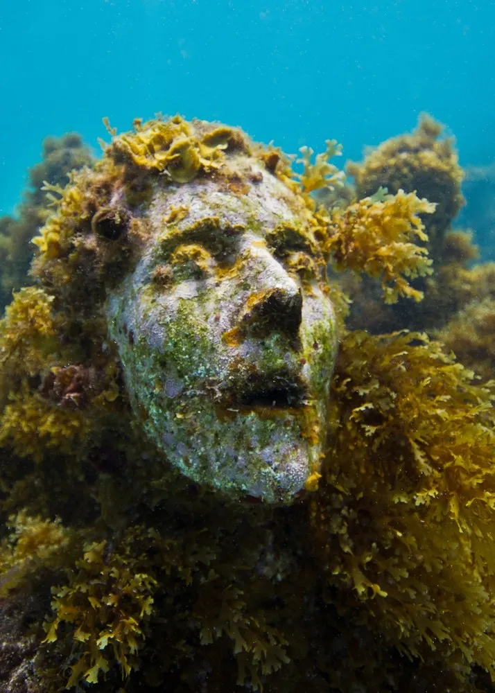 Underwater Sculpture, Part 1: “The Silent Evolution”