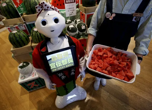 SoftBank's human-like robot named “Pepper” poses for pictures in its role as a PR manager of Tottori prefecture at the prefecture speciality store in Tokyo, Japan, July 1, 2015. Pepper will work at the store until July 2, as the first workplace venue for  its temporary staffing service. (Photo by Yuya Shino/Reuters)