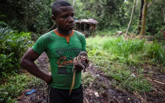 Papy holds a baby red-tailed monkey which a hunter caught after killing its mother, in the forest near the city of Mbandaka, Democratic Republic of the Congo, April 4, 2019. (Photo by Thomas Nicolon/Reuters)