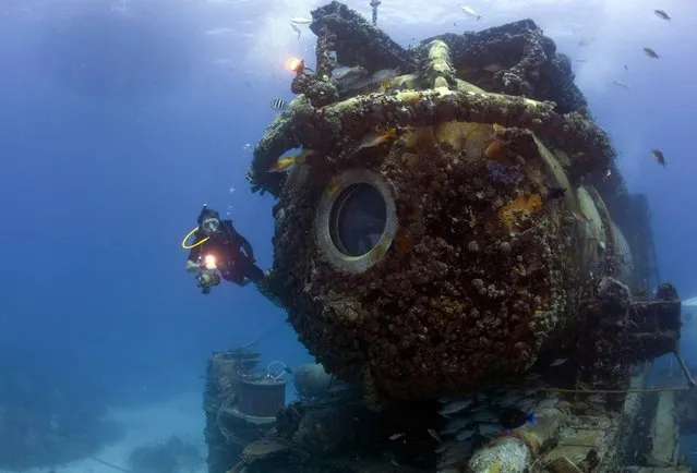 Fabien Cousteau is pictured swimming outside the marine laboratory Aquarius in this undated handout photo obtained by Reuters on July 2, 2014. Cousteau, grandson of famed French oceanographer Jacques Cousteau, emerged from the turquoise waters off the Florida Keys on July 2, 2014 morning, marking the end of a record-breaking, 31-day stay in an underwater habitat with a team of scientists and documentary filmmakers. (Photo by Kip Evans/Reuters/Mission Blue)