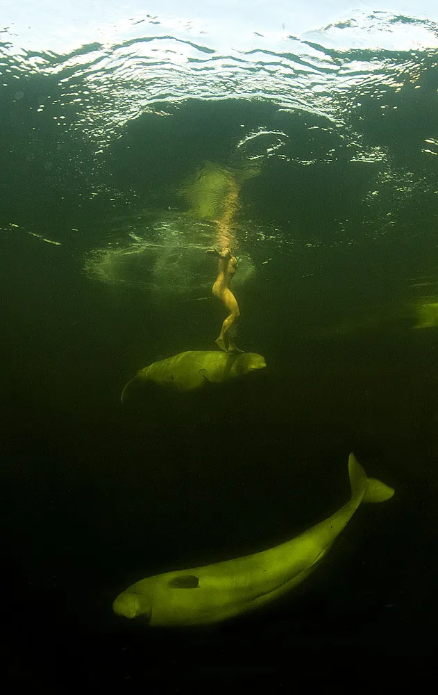 [Oldies] Naked Female Two-Time World Champion Free Diver Swims with Whales