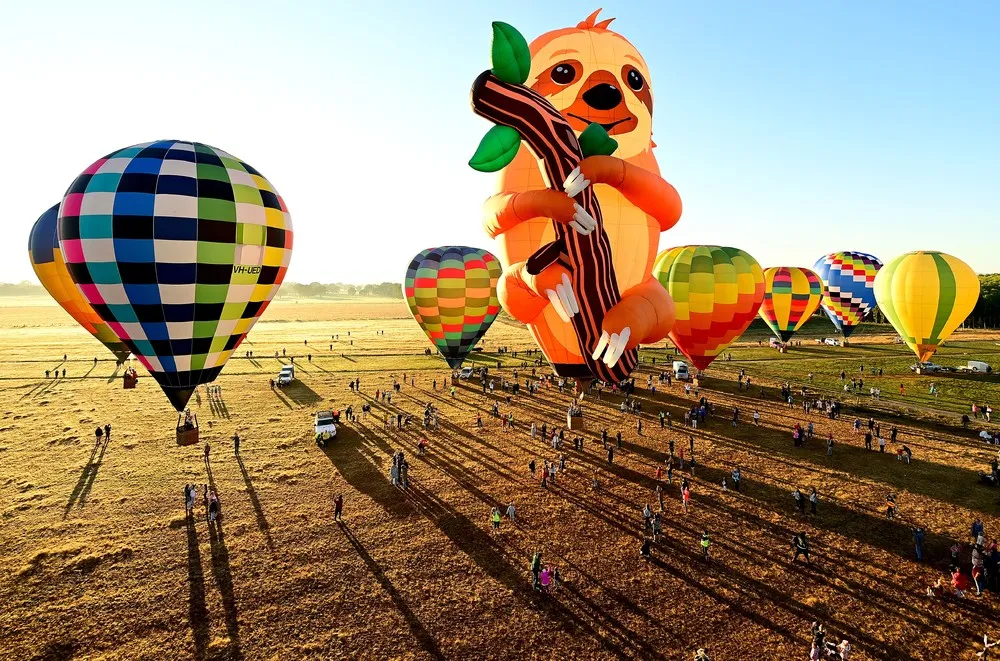 Some Photos: Hot Air Balloons