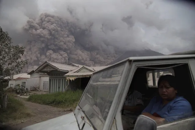 Residents ride in a truck as Mount Sinabung releases pyroclastic flows during its eruption in Karo, North Sumatra, Indonesia, Wednesday, August 2, 2017. The volcano blasted volcanic ash as high as 4.2 kilometers (2.6 miles), one of its biggest eruptions in the past several months of high activity. (Photo by Endro Rusharyanto/AP Photo)