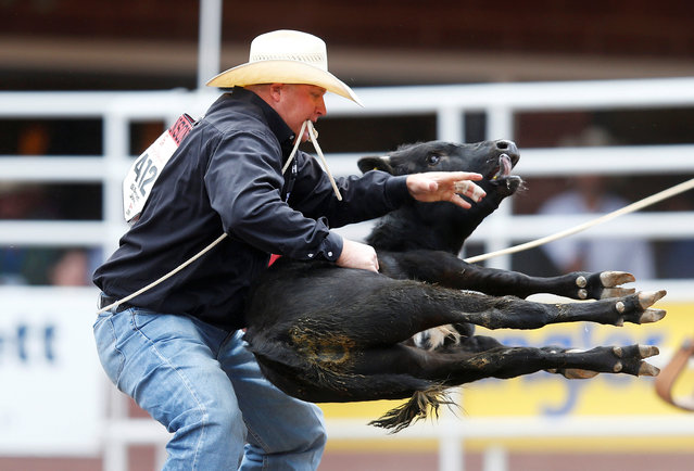 Clint Robinson of Spanish Fork, Utah, flips a calf in the tie-down roping event during the Calgary Stampede rodeo in Calgary, Alberta, Canada July 8, 2016. (Photo by Todd Korol/Reuters)