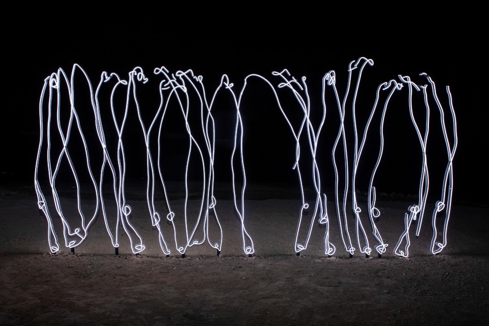 Some Photos: Contemporary Art