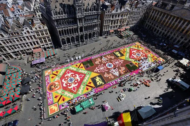 In this aerial view, volunteers lay down flowers to assemble a giant flower carpet within the celebrations to mark it's 50th anniversary at Grand Place on August 12, 2022 in Brussels, Belgium. The flower carpet 2022 is a nod to the very first creation in 1971created from thousands of flowers and titled Arabesques. (Photo by Andreas Rentz/Getty Images)